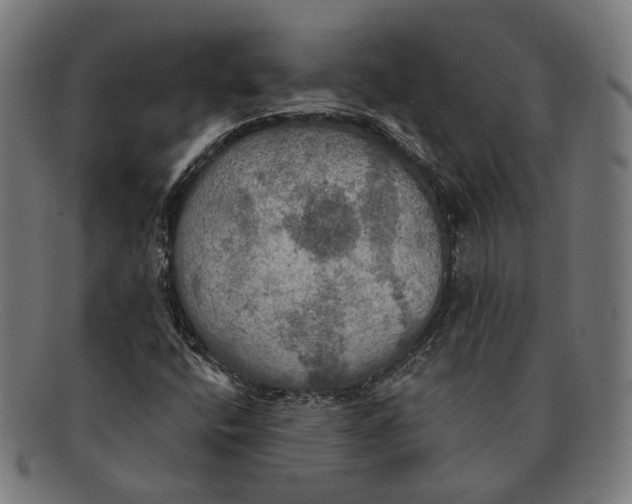 X0000091461400200709131725