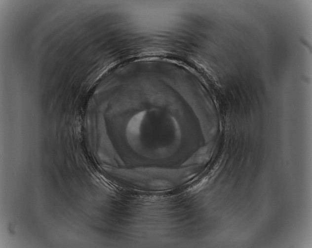 X0000091461401200709131725