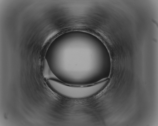 X0000091461402200709131725