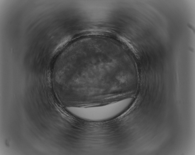 X0000091461403200709131725