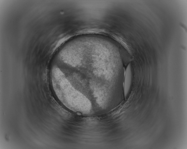 X0000091461404200709131725