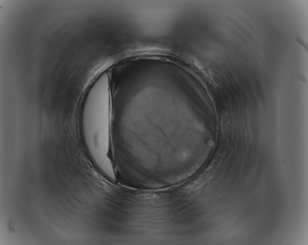 X0000091461405200709131725