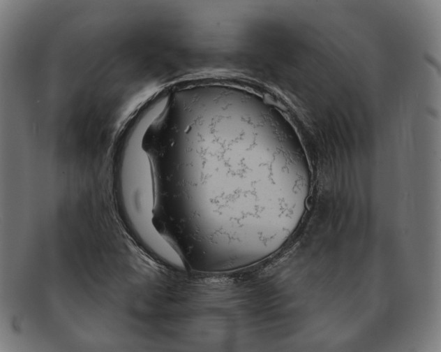 X0000091461406200709131725