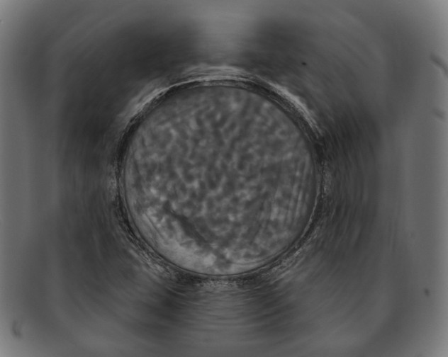 X0000091461407200709131725