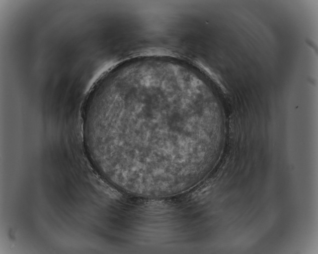 X0000091461408200709131725