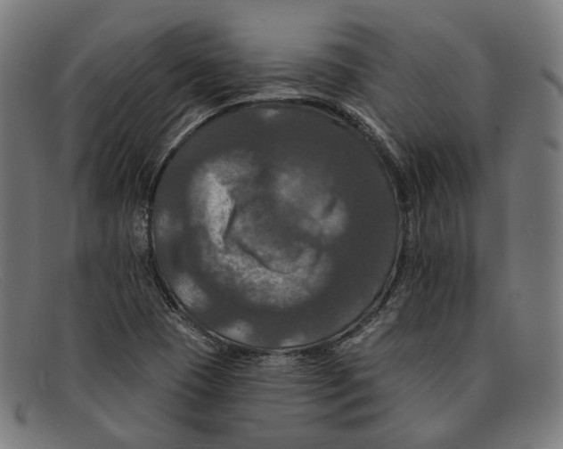 X0000091461409200709131725