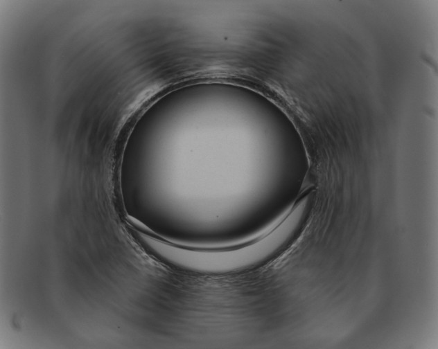 X0000091461410200709131725
