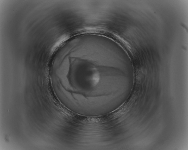 X0000091461411200709131725