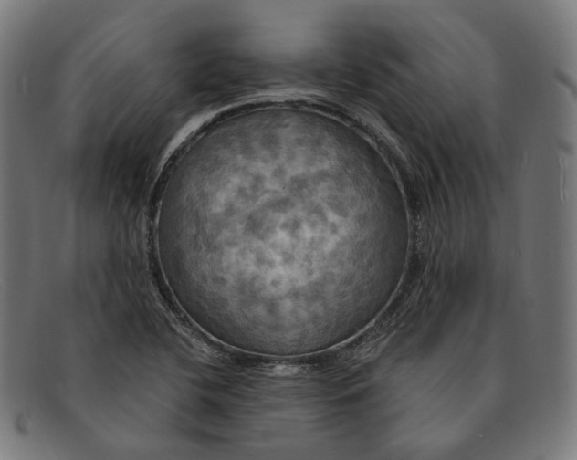 X0000091461412200709131725