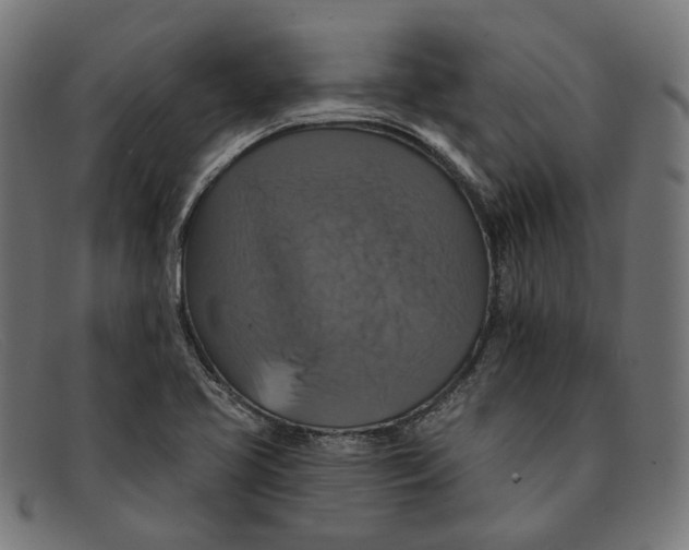 X0000091461413200709131725
