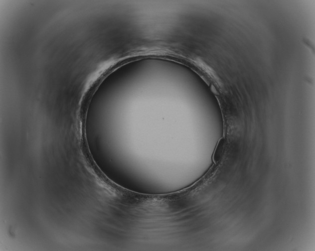 X0000091461414200709131725