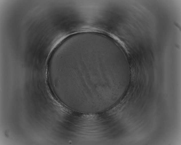 X0000091461415200709131725