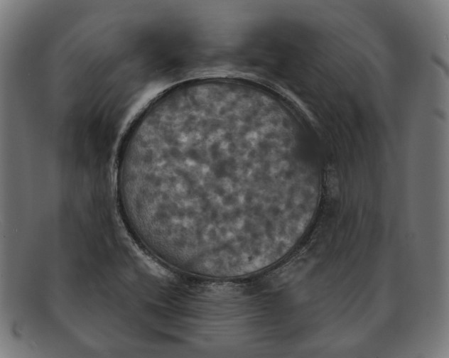 X0000091461416200709131725