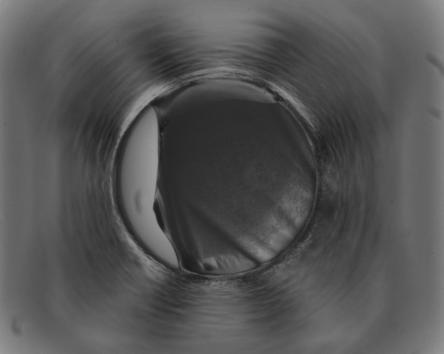 X0000091461418200709131725