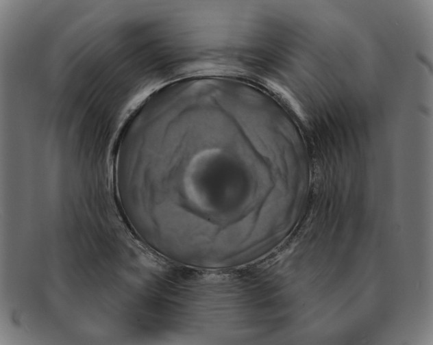 X0000091461419200709131725