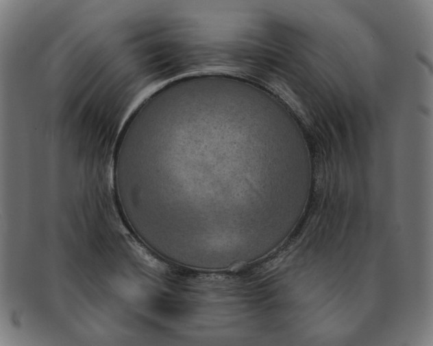 X0000091461420200709131725