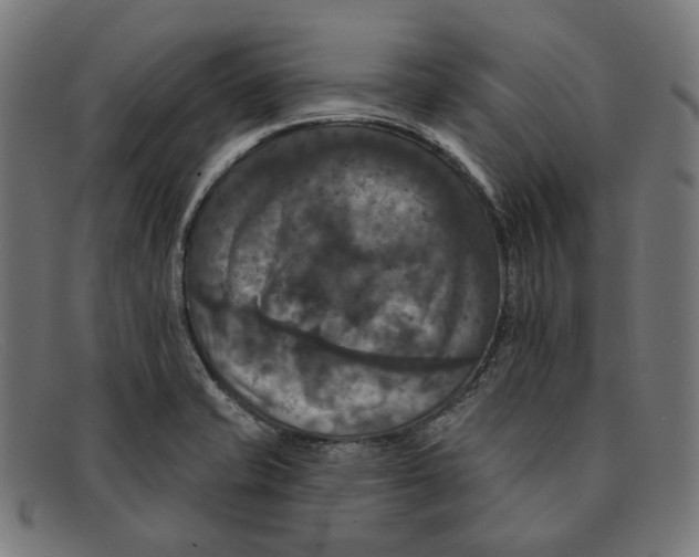 X0000091461421200709131725