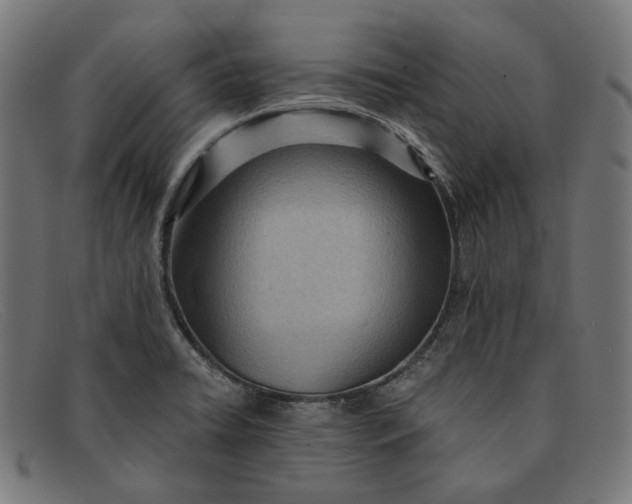 X0000091461422200709131725