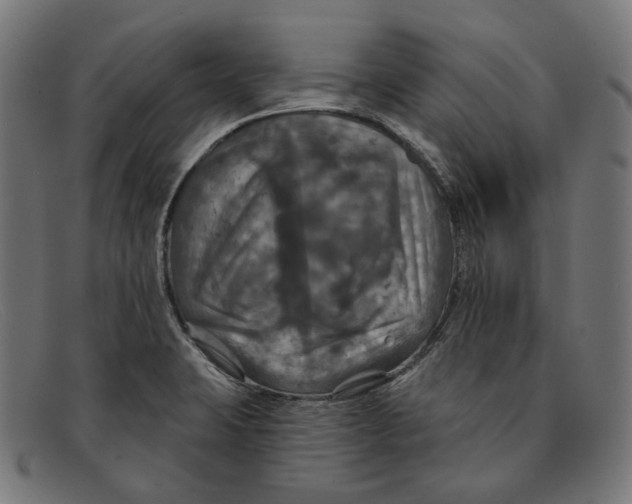 X0000091461423200709131725
