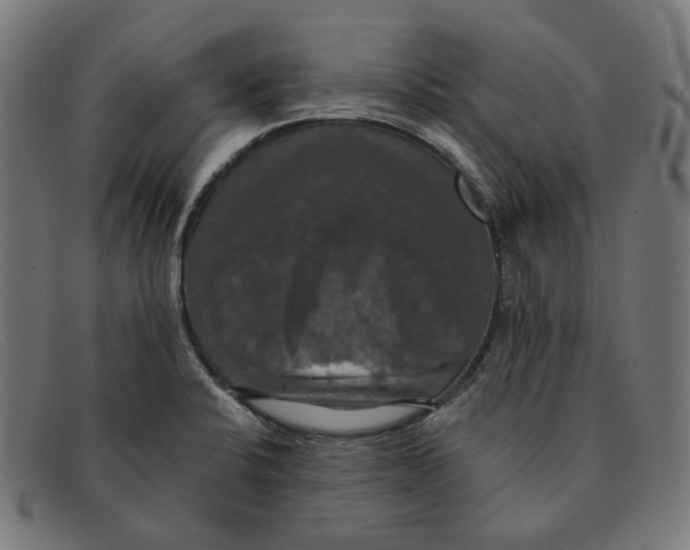 X0000091461424200709131725