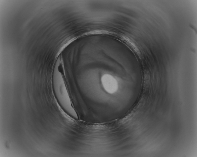 X0000091461425200709131725