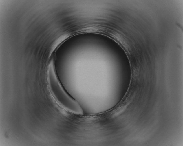 X0000091461426200709131725