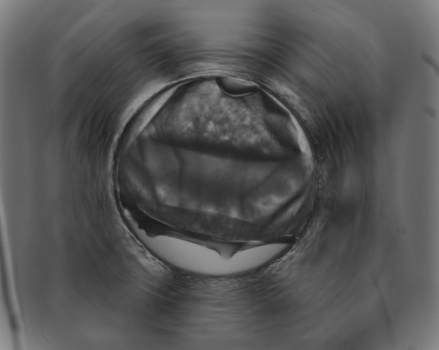 X0000091461427200709131725