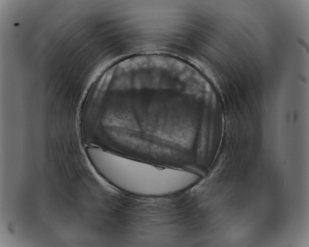 X0000091461429200709131725