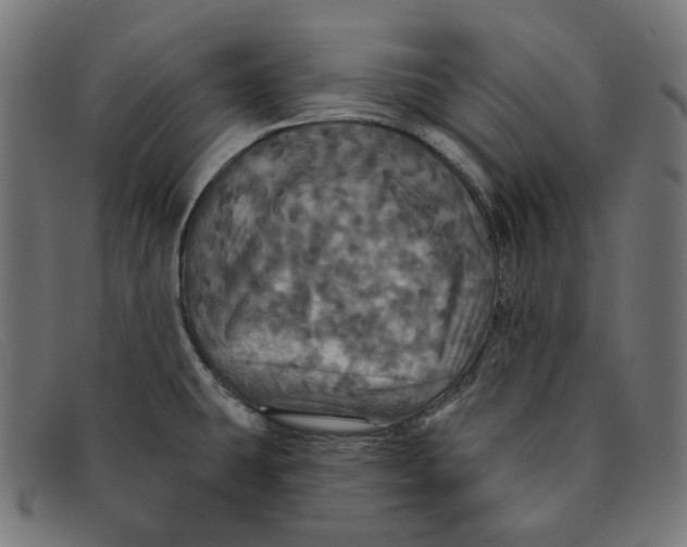 X0000091461431200709131725