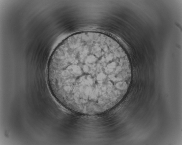 X0000091461432200709131725