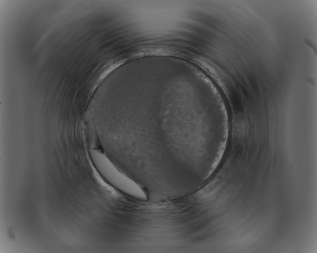 X0000091461433200709131725