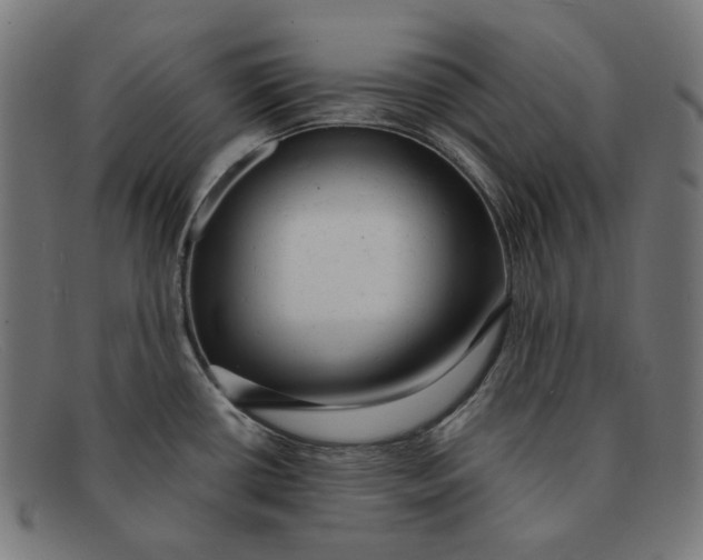 X0000091461434200709131725