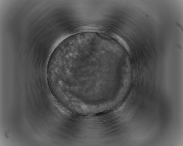 X0000091461435200709131725