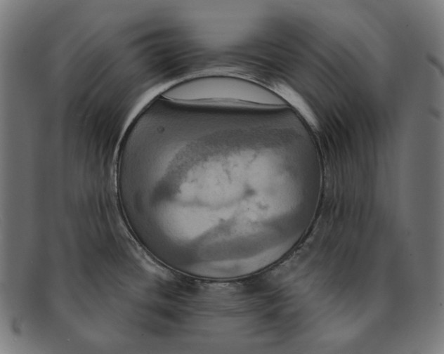X0000091461436200709131725
