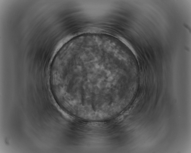 X0000091461437200709131725