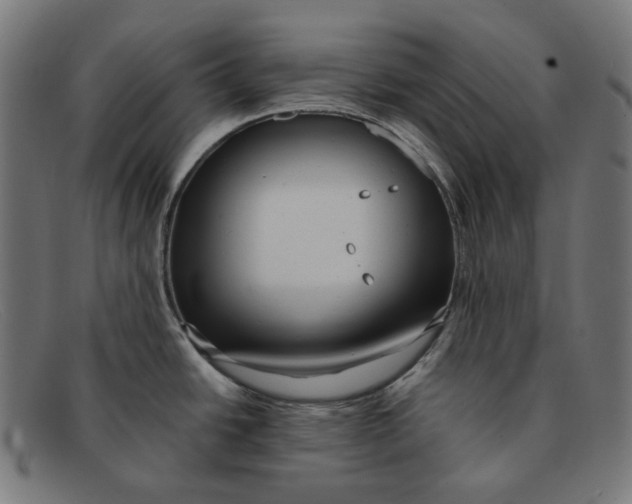 X0000091461438200709131725