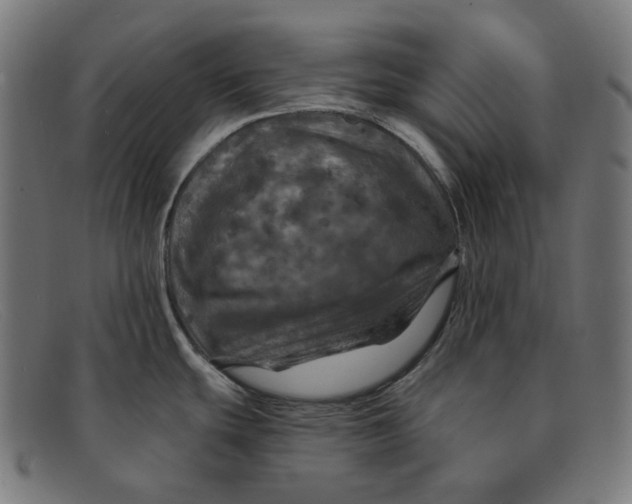 X0000091461439200709131725