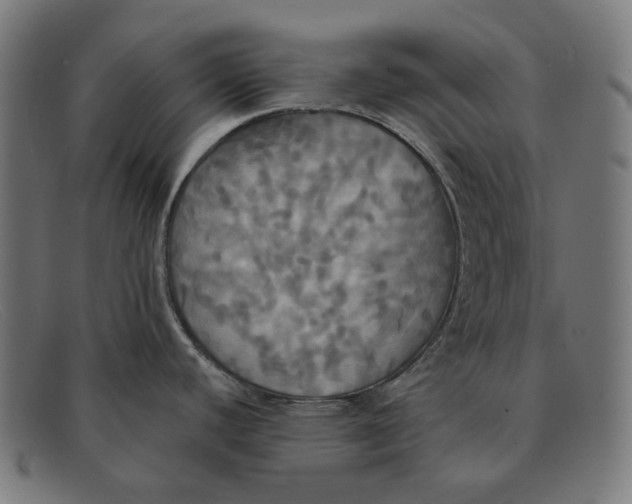 X0000091461440200709131725