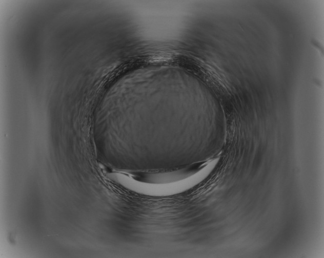X0000091461441200709131725
