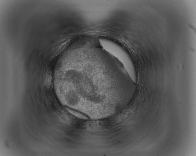 X0000091461444200709131725