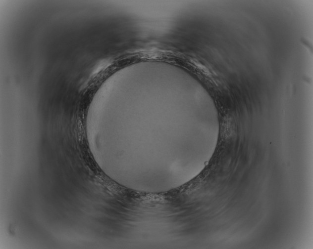 X0000091461446200709131725
