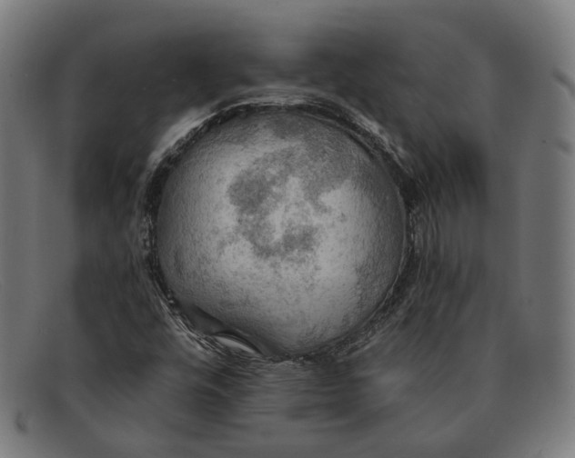 X0000091461448200709131725