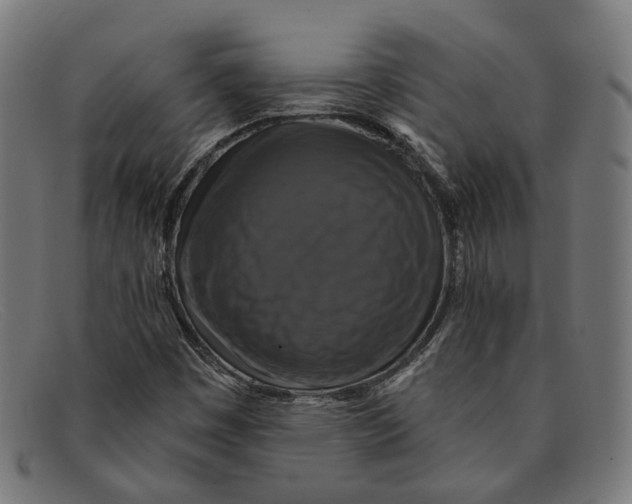 X0000091461449200709131725