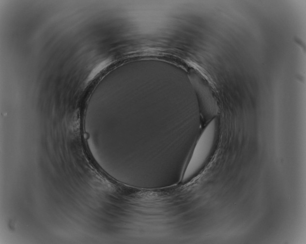 X0000091461450200709131725