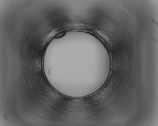X0000091461451200709131725