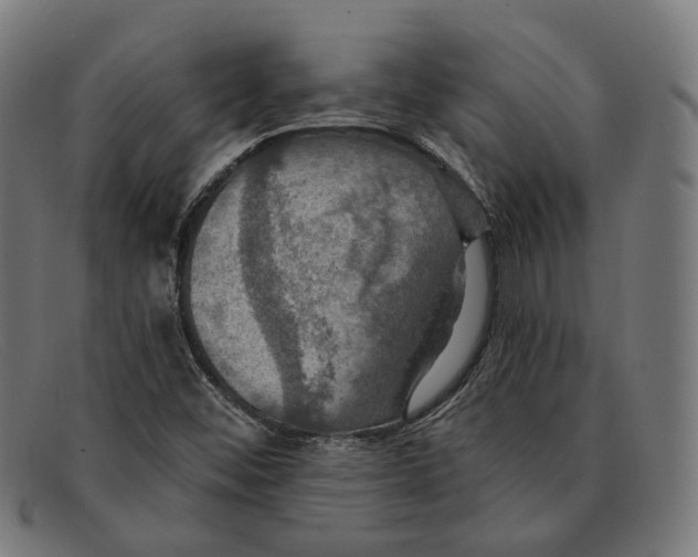 X0000091461452200709131725
