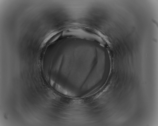 X0000091461453200709131725