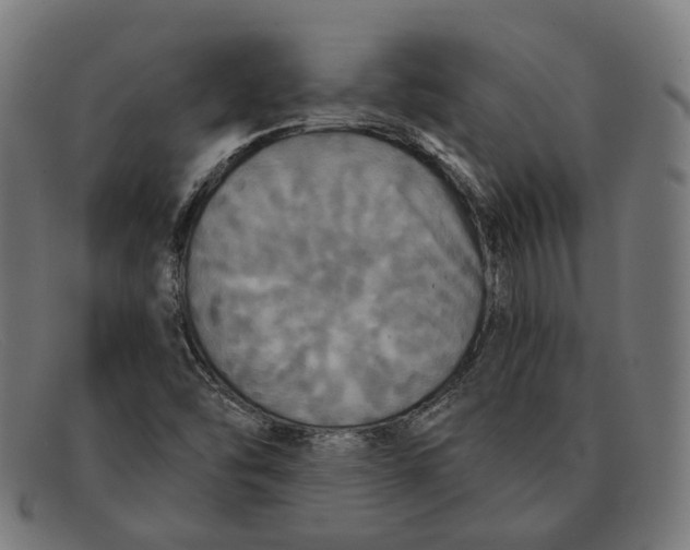 X0000091461454200709131725