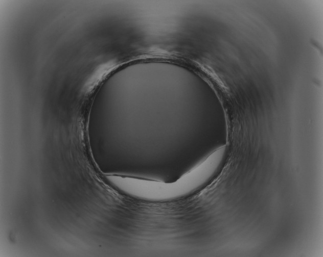 X0000091461455200709131725