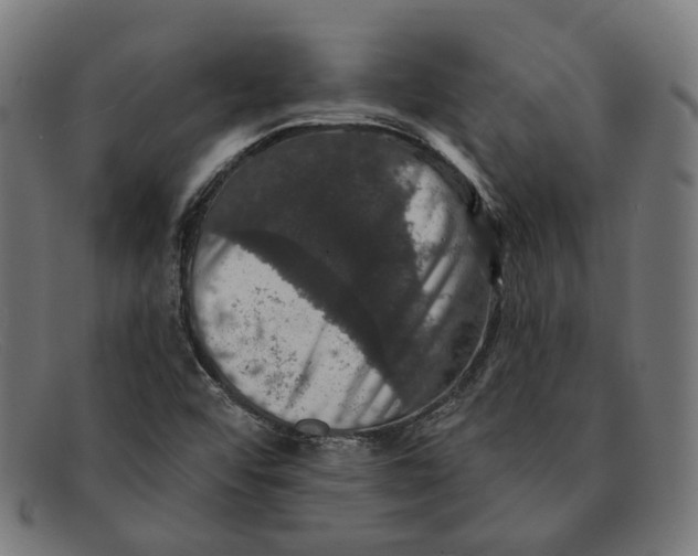 X0000091461456200709131725